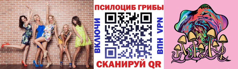 OMG сайт  что такое   Зверево  Галлюциногенные грибы Magic Shrooms 